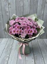 Букет цветов из:  Хризантемы в Быково Волгоградской области