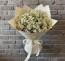 Букет цветов из:  Ромашки в Быково Волгоградской области