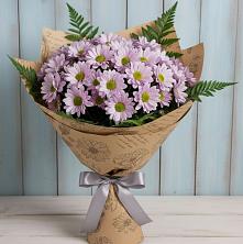 Букет цветов из:  Хризантемы в Быково Волгоградской области