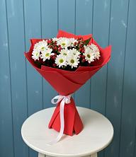 Букет цветов из:  Хризантемы в Быково Волгоградской области