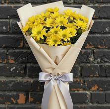 Букет цветов из:  Хризантемы в Быково Волгоградской области