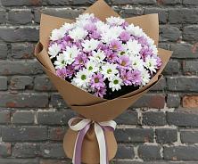 Букет цветов из:  Хризантемы в Быково Волгоградской области