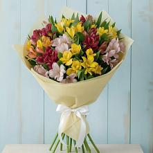 Букет цветов из:  Альстромерии в Быково Волгоградской области