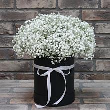 Цветочная композиция из Гипсофила в шляпной коробке #REPLACE_PRED# Быково Волгоградской области