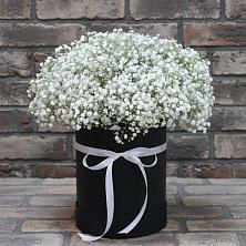 Цветочная композиция из Гипсофила в шляпной коробке в Быково Волгоградской области