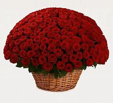 Премиум букет из: Розы в Быково Волгоградской области