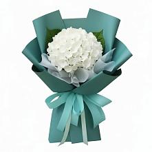 Букет цветов из:  Гортензия в Быково Волгоградской области